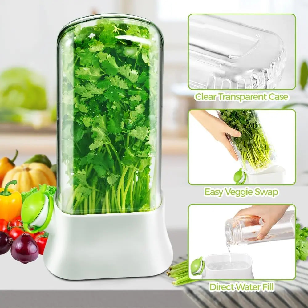 Herb Keeper for Refrigerator, Fresh Herb Storage Container with Water Reservoir, Cilantro, Parsley & Mint Saver