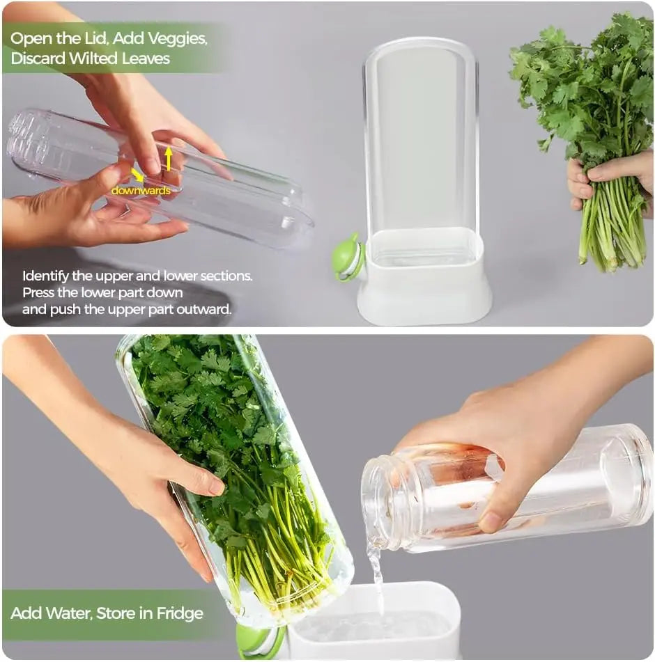 Herb Keeper for Refrigerator, Fresh Herb Storage Container with Water Reservoir, Cilantro, Parsley & Mint Saver