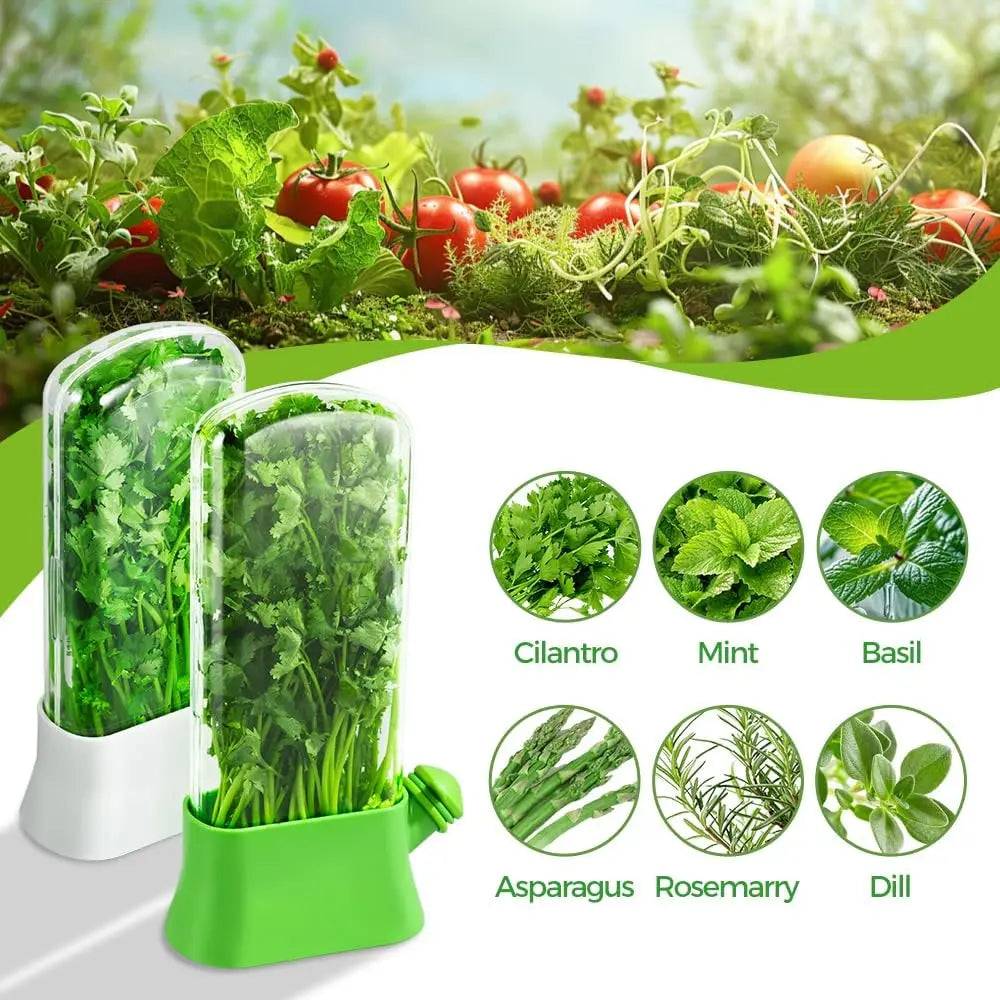 Herb Keeper for Refrigerator, Fresh Herb Storage Container with Water Reservoir, Cilantro, Parsley & Mint Saver